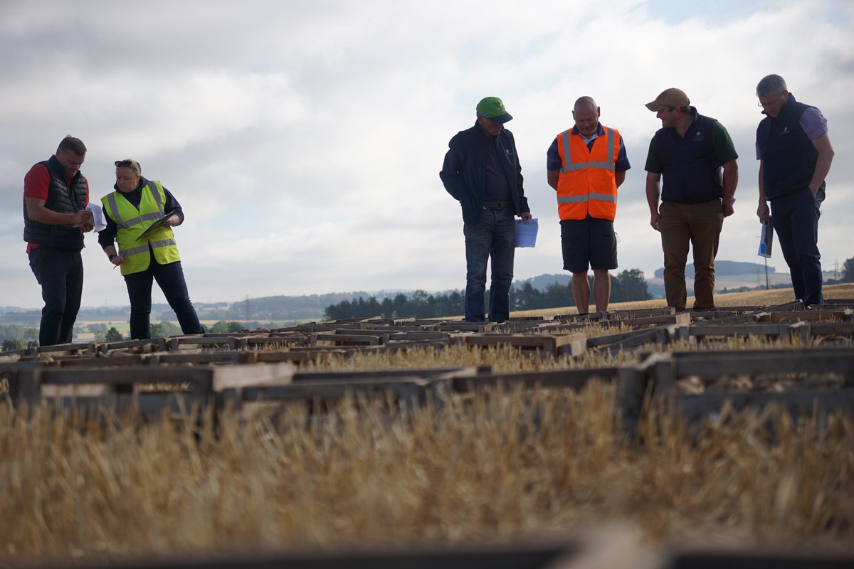 Derek Coyle (@degze) on Twitter photo <a href="/JamesHuttonLtd/">The James Hutton Institute Scientific Services</a> <a href="/greenvaleAP/">GreenvaleAP</a> <a href="/Greenvale_Seed/">Greenvale Seed</a>
A few more Pics from todays selections <a href="/JamesHuttonLtd/">The James Hutton Institute Scientific Services</a> <a href="/greenvaleAP/">GreenvaleAP</a> <a href="/Greenvale_Seed/">Greenvale Seed</a>
A few more Pics from todays selections