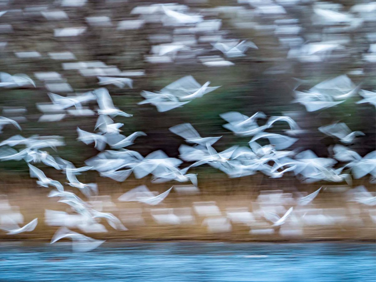 Mañana abre 'Paisaje, gesto y postura', la exposición que recoge los trabajos de la Asociación Rincones de Cantabria. 

📅 05/09 - 02/10 
📍 Centro Cultural Doctor Madrazo

Más info: phe.es/photoespana/pa…

© Julio González Domínguez

#PHE23 #PHESantanderyCantabria23