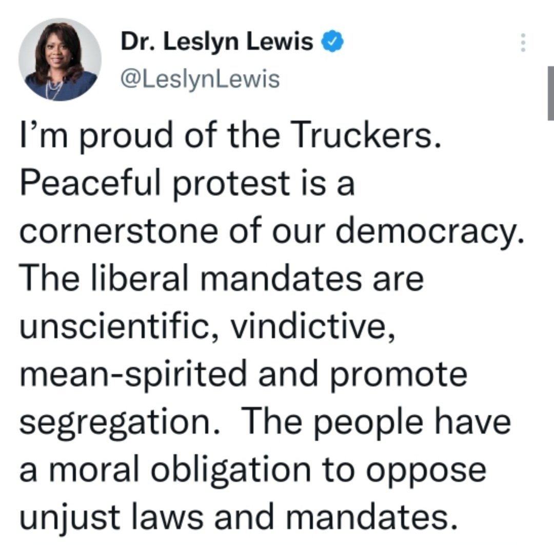 NotAssangesCat's tweet photo. Tamara Lich, an organiser of the Ottawa insurrection, goes on trial starting tomorrow.
Let us never forget that the KKKonvoy Klowns were supported, aided, and abetted by plenty of CPC MPs. Traitors to Canadian democracy. https://t.co/j0FZ9hY0fz