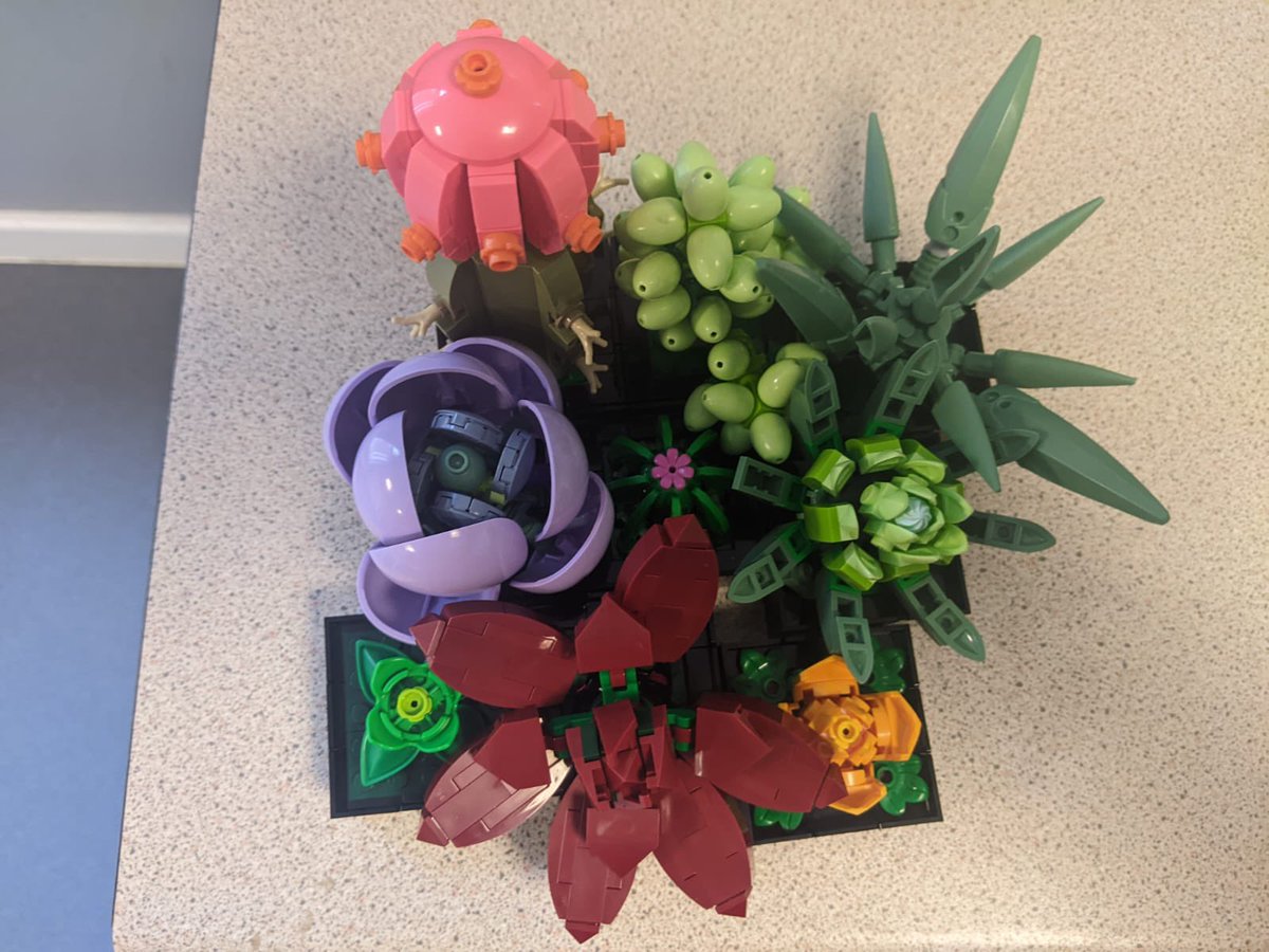 MillViewOTteam tweet media