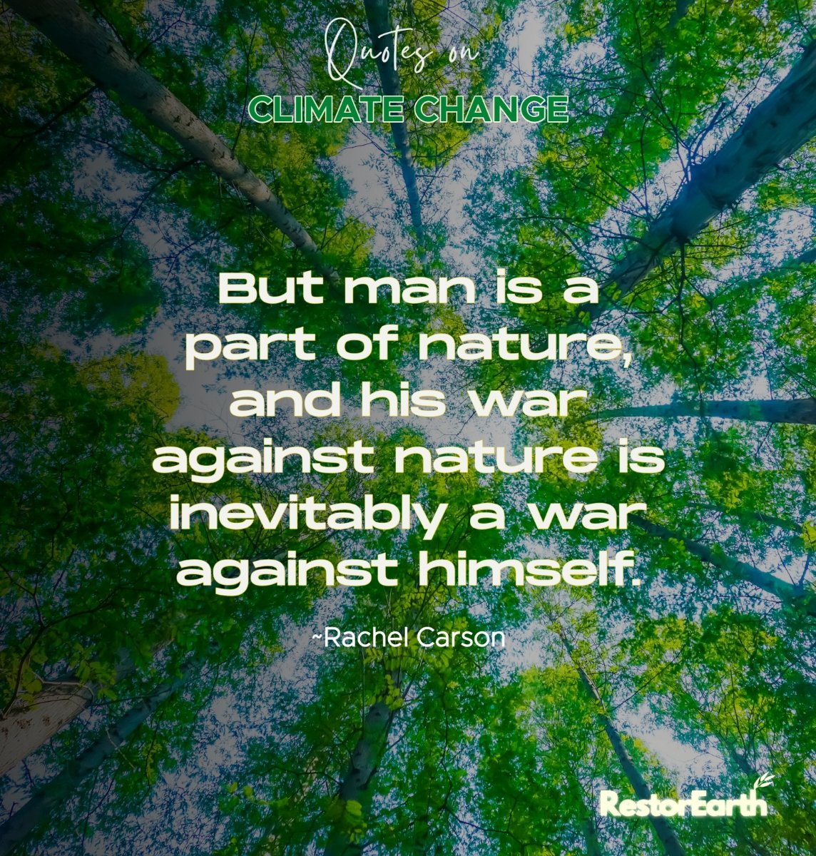savearth_caf's tweet photo. "The trees are shaking, the animals are fleeing. The air is thick with smoke. This is not a war against nature. This is a war against ourselves."
#RestorEarth
#ClimateAction
#ClimateChangeQuotes https://t.co/mr6FYTPnCd
