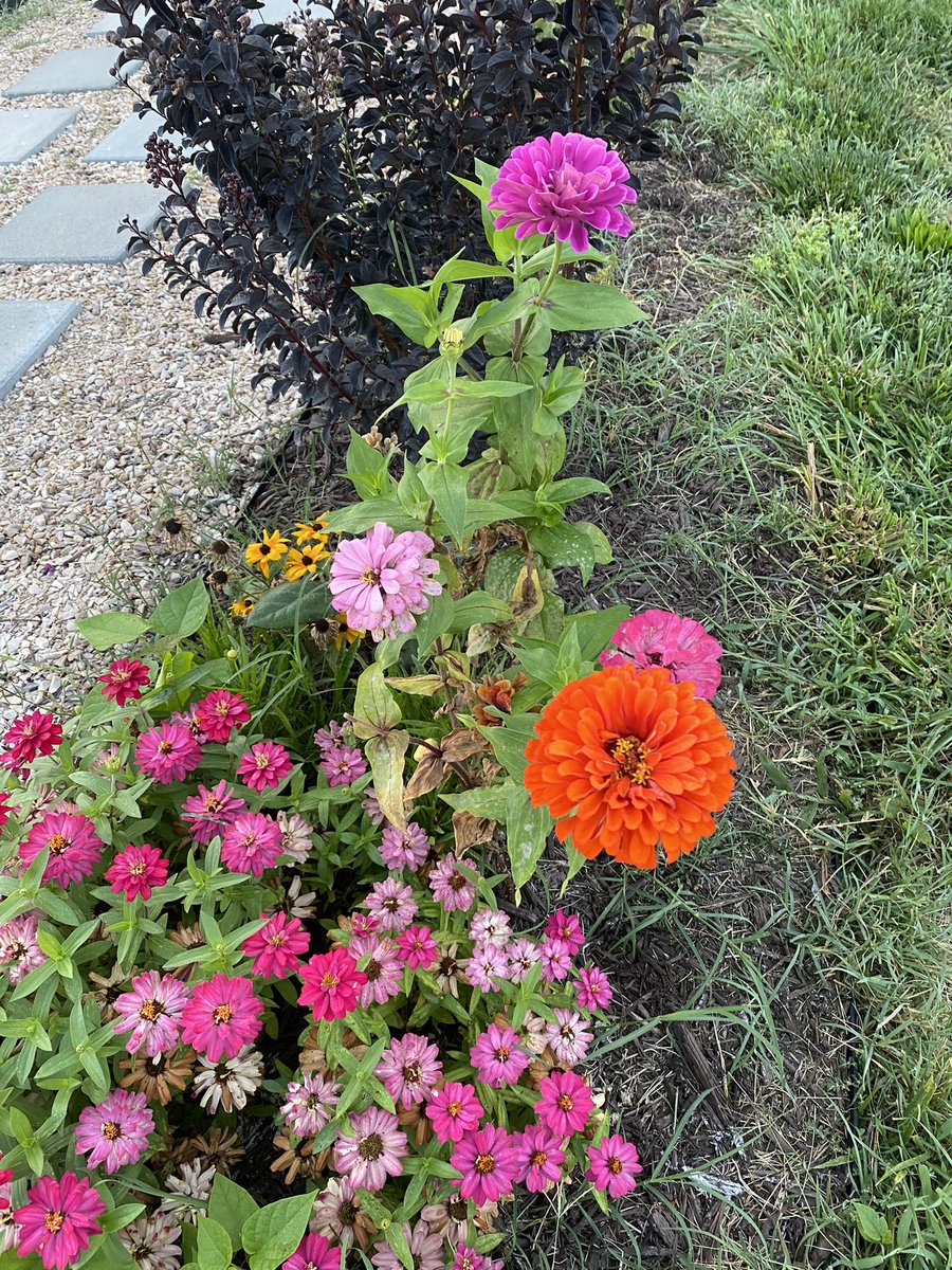 DonnaGoingsVA's tweet photo. Today is day 500 walking! #morningmile #500days https://t.co/JPoGKBj5TW