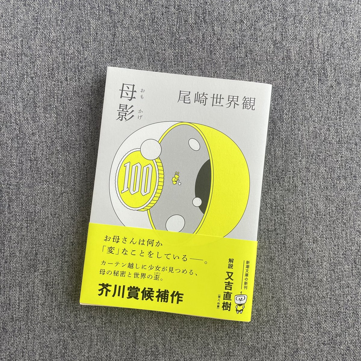 母影/尾崎世界観
#読了

尾崎さんの小説は初めて読みました！
100ページ強ですが、読後感はずっしり。
又吉さんの解説がまた読み応えがあります。

カーテン越しに見る歪んだ過酷な世界。
母と共にその世界に巻き込まれてしまっている少女の視点と無垢な語彙は詩的で、痛みを感じるほどでした。