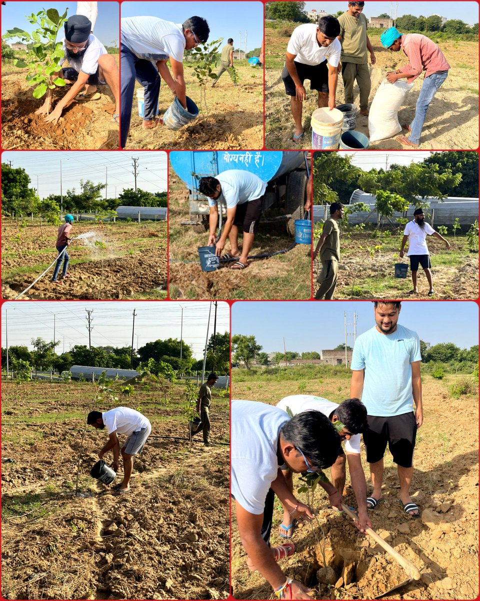 We have successfully planted 4000 saplings in the last 2 years at the Village Khairpur, Greater Noida, our largest plantation site. With the dedicated team of volunteers, we have been able to maintain this site exceptionally well. @csrboxorg @ET_CSR @mission100cr #csr #trees