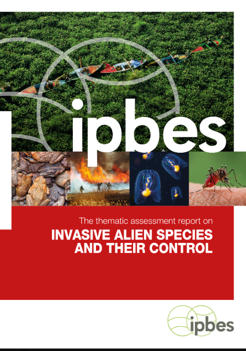 PUBLICAT l'informe sobre espècies exòtiques i invasores + important del món 🌍 L' <a href="/IPBES/">ipbes</a> (conegut com l'IPCC de la biodiversitat) denuncia que a nivell mundial❌s'infravalora, es❌subestima i❌s'ignora un problema molt greu per la natura i les persones. Us ho resumim en català👇🏾