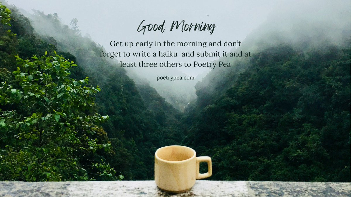 #Submission time! send #Poetry Pea your wonderful #haiku, but do have a listen to this first... it's going to help you be succesful poetrypea.com/s6e22-creating…