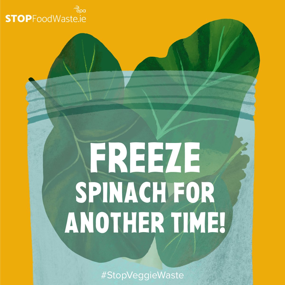 Blanch spinach in boiling water for just 30 seconds and freeze it for use in the future! No more spinach waste. #StopVeggieWaste Follow the link for more ways to #StopFoodWaste: stopfoodwaste.ie/shopping-and-s…