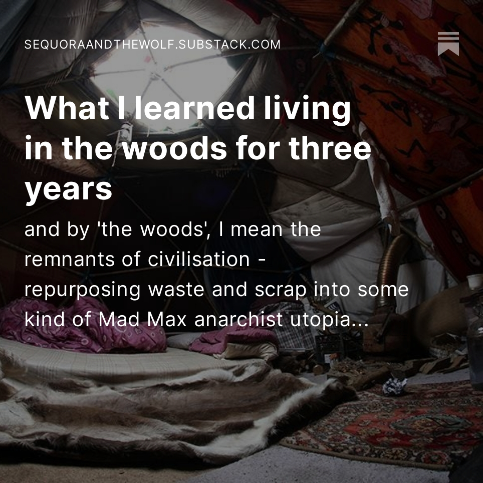 Lynne Davis (@linndav) on Twitter photo The reality of collapse is that no matter when it happens, how fast, or at what scale we're going to be surrounded by our junk for generations. But one thing that will forever give me hope is how fast the natural world regenerates - both inside and out.
sequoraandthewolf.substack.com/p/what-i-learn… The reality of collapse is that no matter when it happens, how fast, or at what scale we're going to be surrounded by our junk for generations. But one thing that will forever give me hope is how fast the natural world regenerates - both inside and out.
sequoraandthewolf.substack.com/p/what-i-learn…