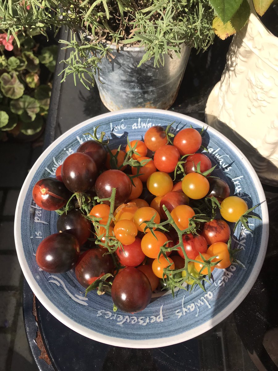 Prof Julia Manning tweet media