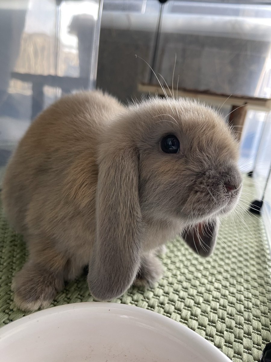 𝐬𝐚𝐩𝐧𝐮 𝐩𝐮𝐚𝐬 🏎🌚 (@rawwhchel) on Twitter photo 