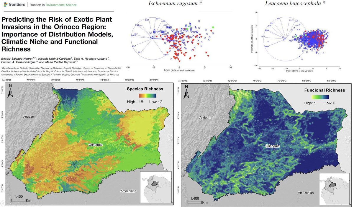 We are delighted to share our study that explores the impact of plant biological invasion in the Orinoco from a functional diversity perspective! These invasions disrupt native ecosystems, altering their functioning and ecosystem services. #InvasiveAlienSpecies with @IPBES