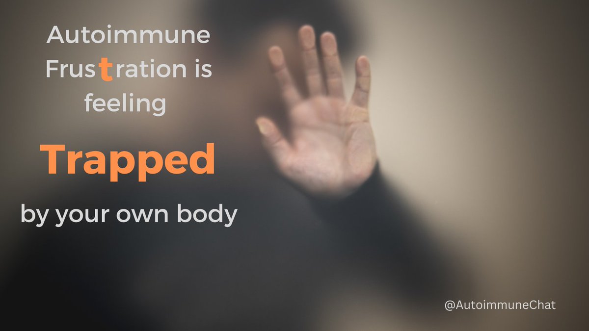 Autoimmune Chat tweet media