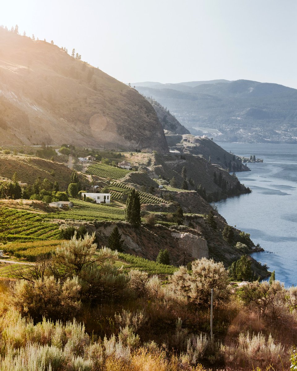 How’d you spend your long week? ☀️ Camping, wine tasting, hiking, paddling, biking, with loved ones? Do that and more in the #ThompsonOkanagan.

📷 Destination BC/<a href="/lukelelee/">Luke</a>

#Summerland #OkanaganValley #TravelBC #ThompsonOkanagan p #ExploreBC #Longweekend