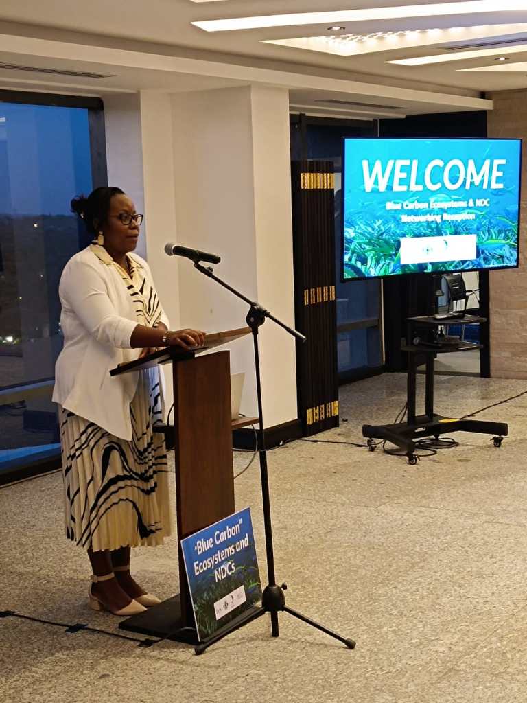 The workshop brought together policy makers, managers, and scientists working across mangrove and seagrass ecosystems and was collaboratively organised by the Pew Charitable Trust, <a href="/SeyCCAT/">SeyCCAT</a>, the Nairobi Convention <a href="/NCSecretariat/">Nairobi Convention</a> and WIOMSA.🌊