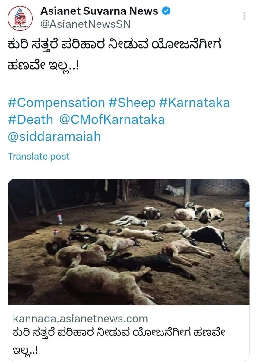 BasanagoudaBJP's tweet photo. ರಾಜ್ಯದ ಕಾಂಗ್ರೆಸ್ ಸರ್ಕಾರ ಸಂಪೂರ್ಣ ದಿವಾಳಿಯಾಗಿದೆ ಎಂಬುದಕ್ಕೆ ಇದು ಸ್ಪಷ್ಟ ನಿದರ್ಶನ.

ರಾಜ್ಯದಲ್ಲಿ ಕುರಿಗಳು ಸತ್ತರೆ ಪರಿಹಾರ ನೀಡುವ "ಅನುಗ್ರಹ" ಯೋಜನೆಗೆ ಈ ಬಾರಿ ಬಿಡಿಗಾಸು ಅನುದಾನ ಸಹ ಲಭ್ಯವಿಲ್ಲ.

ಕಳೆದ ವರ್ಷದವರೆಗೆ ಯಾವುದೇ ಅನುದಾನದ ಕೊರತೆಯಿಲ್ಲದೇ ನಡೆದಿದ್ದ ಯೋಜನೆಗೆ ಈಗ "ಕೈ" ಸರ್ಕಾರದ ದುಷ್ಟ ಕಣ್ಣು ಬಿದ್ದಿದ್ದು, ಕುರಿಗಾಹಿಗಳಿಗೆ ಅತ್ತ ಕುರಿಯೂ ಇಲ್ಲ, ಇತ್ತ ಕಾಸೂ ಇಲ್ಲ ಎಂಬ ದುಸ್ಥಿತಿ ನಿರ್ಮಾಣವಾಗಿದೆ.