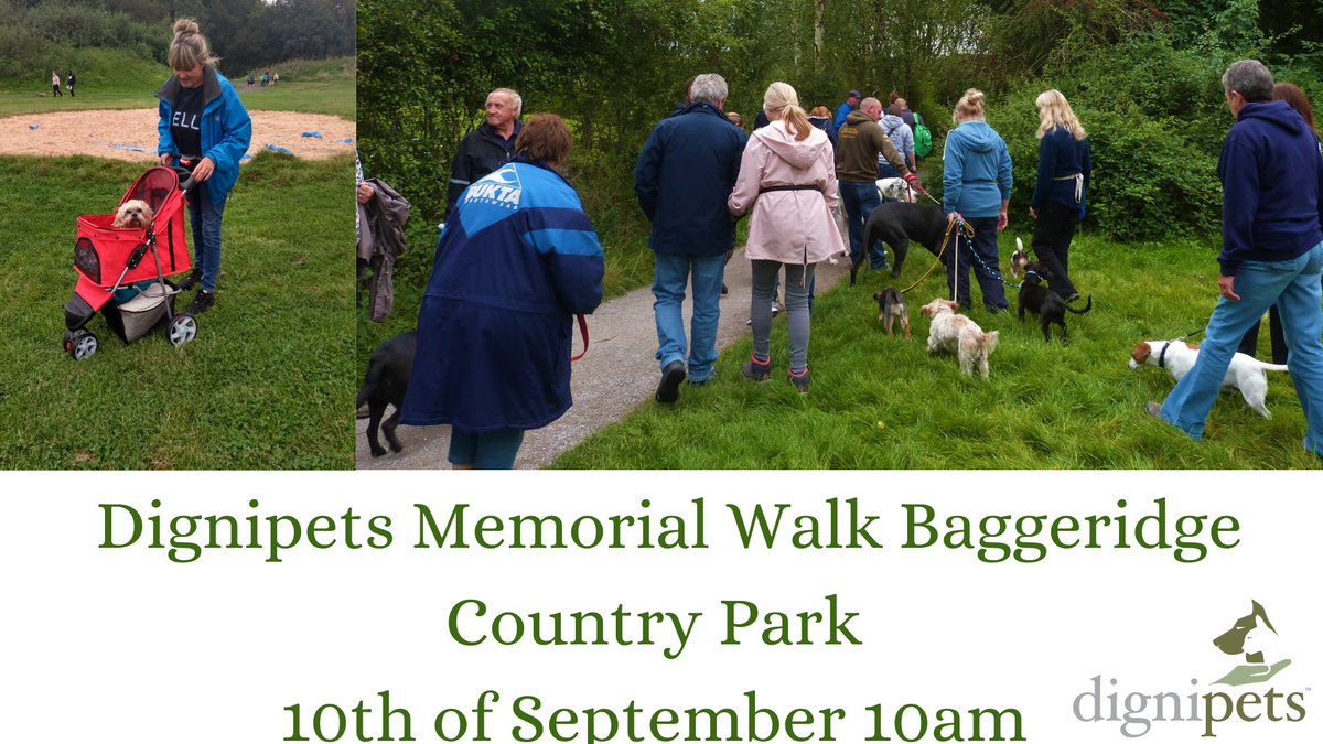 dignipets tweet media