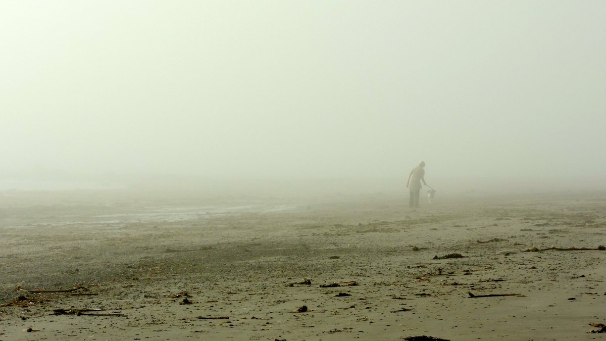 jdeeham's tweet photo. Foggy this morning. Ballyvester beach #Donaghadee @barrabest @WeatherCee @angie_weather. Sun's appearance is not too far away. https://t.co/EMwxtRWrCX