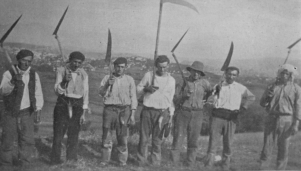 A la siega. Azoños de Bezana
1927
📸 | F. M. Bárcena