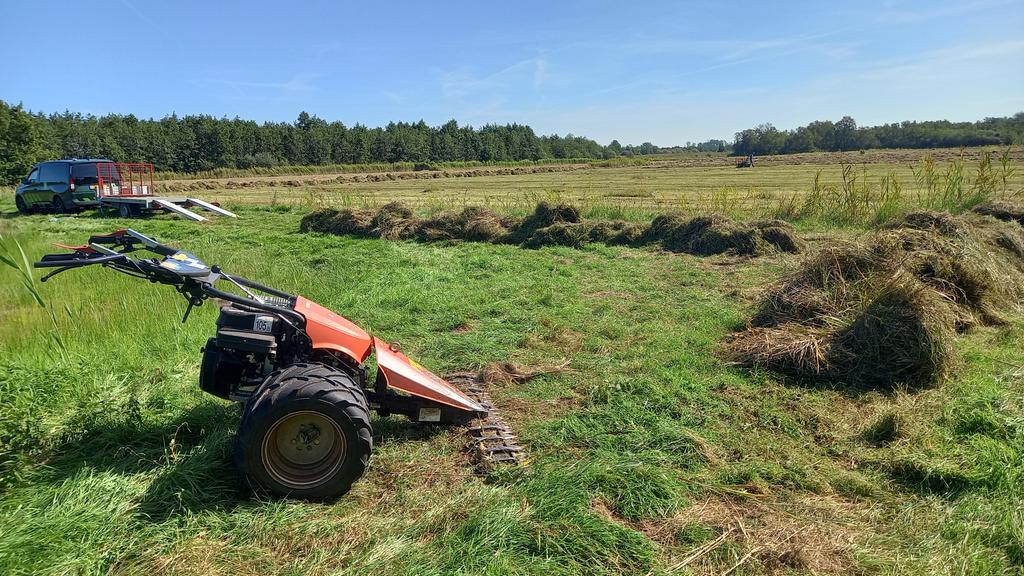 Gjerryt Hoekstra tweet media