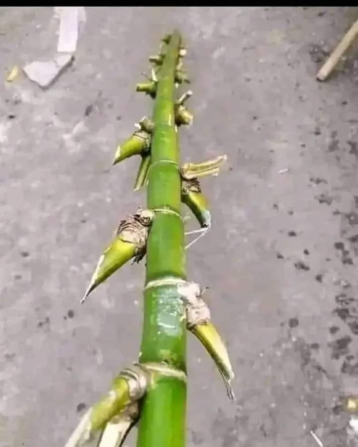 raghwendra_nar's tweet photo. एस्टालिन को सप्रेम भेट।
उसकी मां को सादर प्रणाम। https://t.co/sPmfTQUkFI