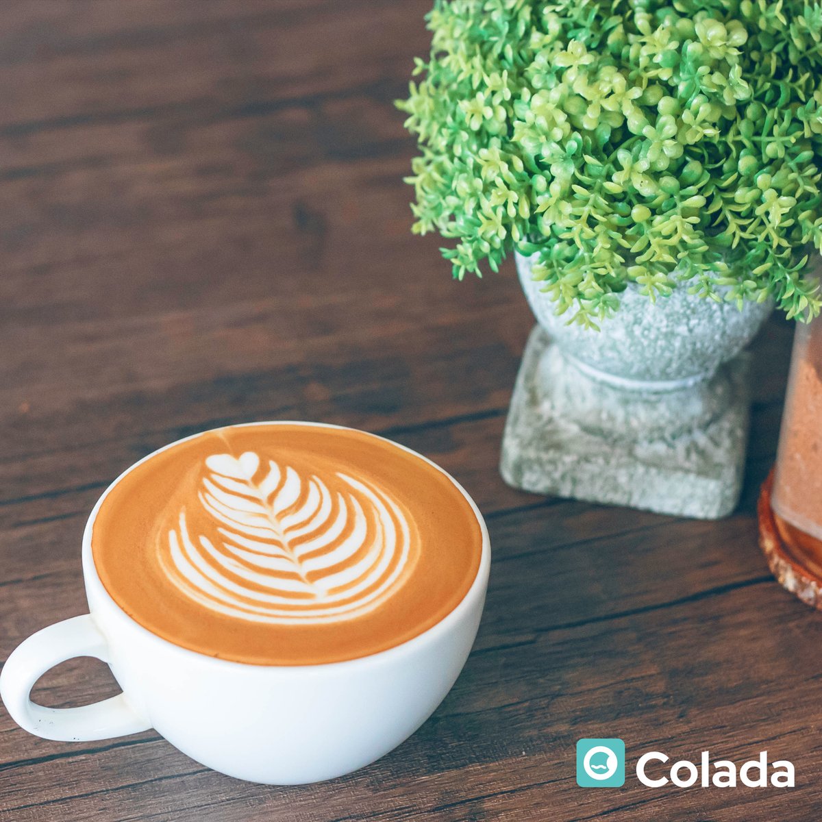 _coladaApp's tweet photo. Con motivo del Día del #café ☕️ te contamos cómo #limpiar sus manchas en tu ropa.
1️⃣Absorbe rápido el exceso
2️⃣Manchas recientes: usa agua y jabón
2️⃣Manchas secas: aplica vinagre, bicarbonato, yema de huevo o soda sobre la mancha y deja reposar
3️⃣Aclara y lava de forma normal https://t.co/14BooJf7Aw