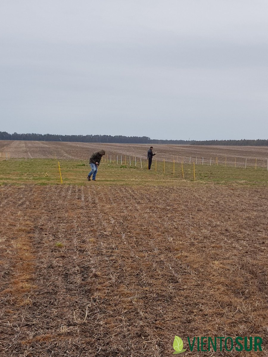 Seguimos probando alternativas para control de raigrás...
Este 21 de septiembre se viene la Jornada a campo para ver el ensayo #ElGranGolpe2023 + #AplicacionesDirigidas 🎯.
Estén atentos para más información!