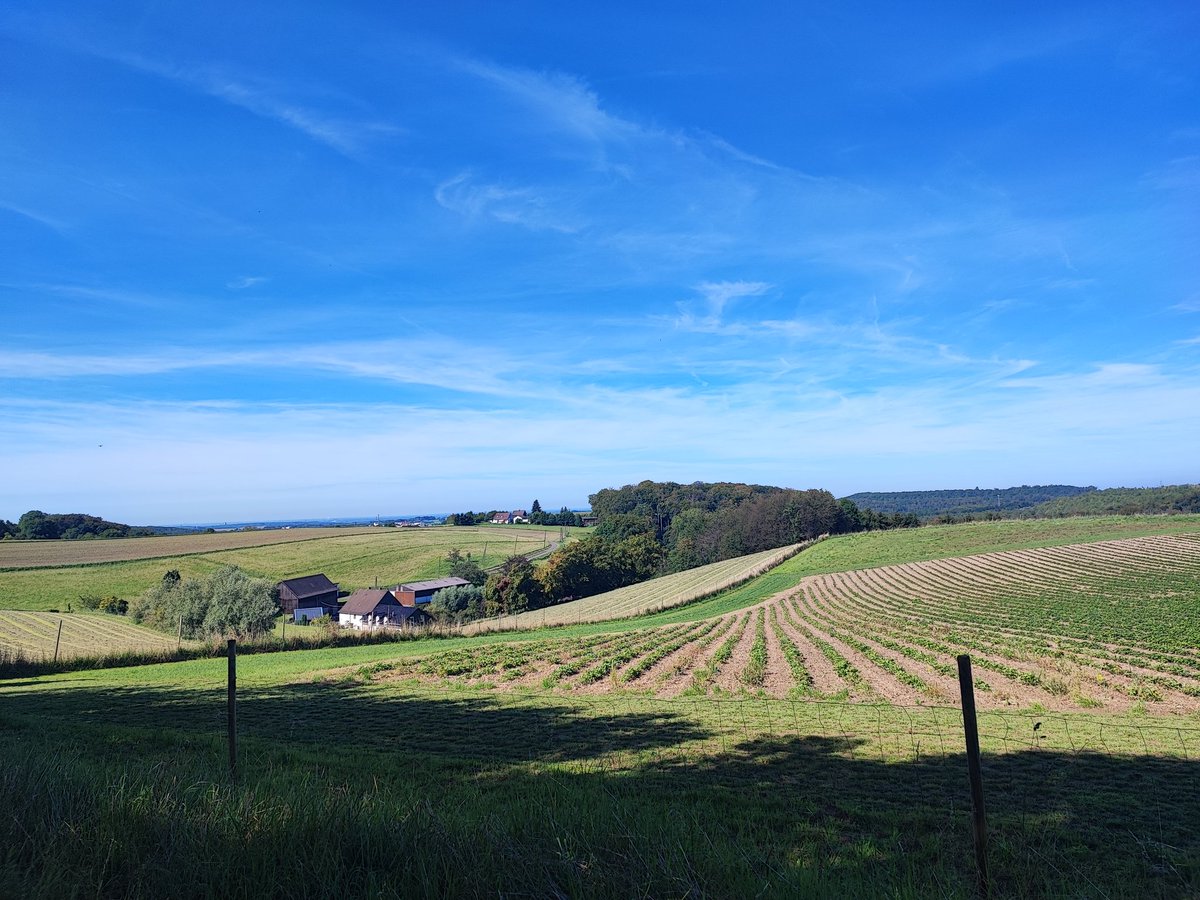 WeareWuppertal's tweet photo. Ich bin in #Wuppertal #Elberfeld gestartet und gerade aus Velbert raus. Bergauf ordentlich gelitten, aber mit runter knallen belohnt worden. Jetzt auf dem Panorama Weg Richtung #Heiligenhaus. #FckThatComaTour https://t.co/Zx4VXtPe9E