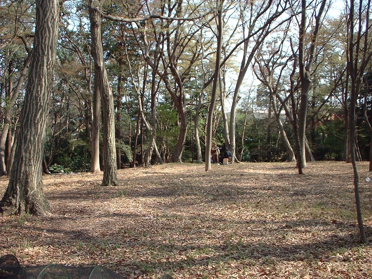 20030407
井之頭公園
奥に演奏してる人がいます。
#写真好きな人と繫がりたい