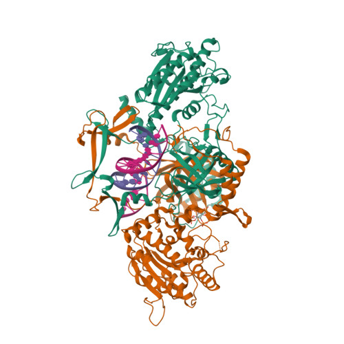 Proxima2-A tweet media