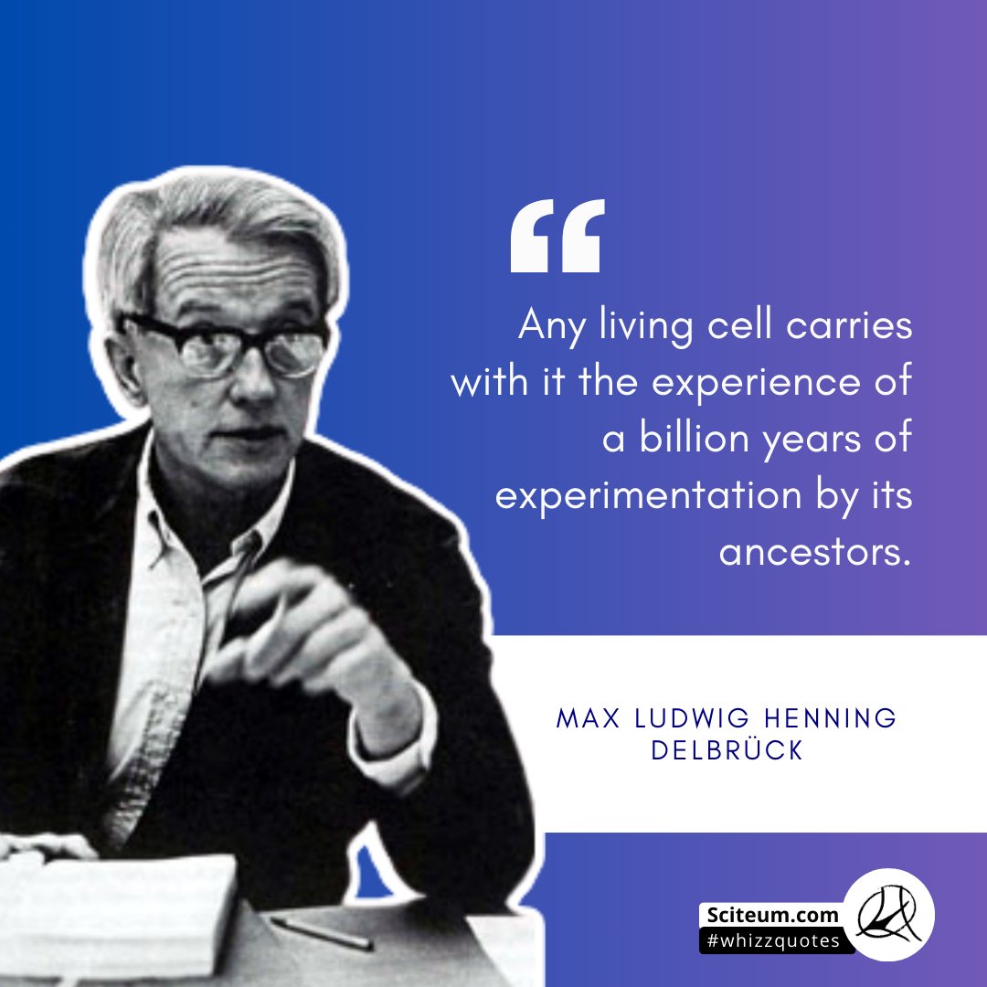 sciteum's tweet photo. Born #onthisday (Sep 4) 1906, Max Delbrück was a biophysicist who formed the Phage Group-stimulating the physicists' interest in Biology. He shared the 1969 @NobelPrize for discoveries concerning the replication mechanism &amp; the genetic structure of viruses

#whizzquotes
#scicomm https://t.co/pea2zTsyHm