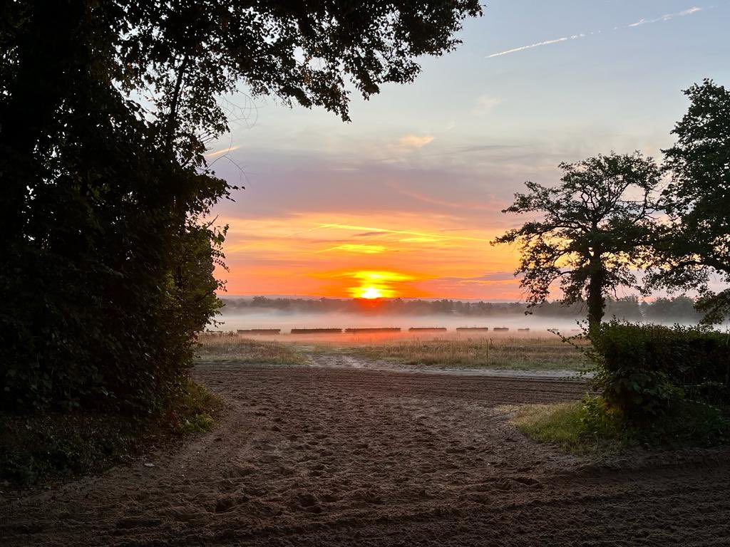 Good morning <a href="/fgchantilly/">FG Chantilly</a> ❤️