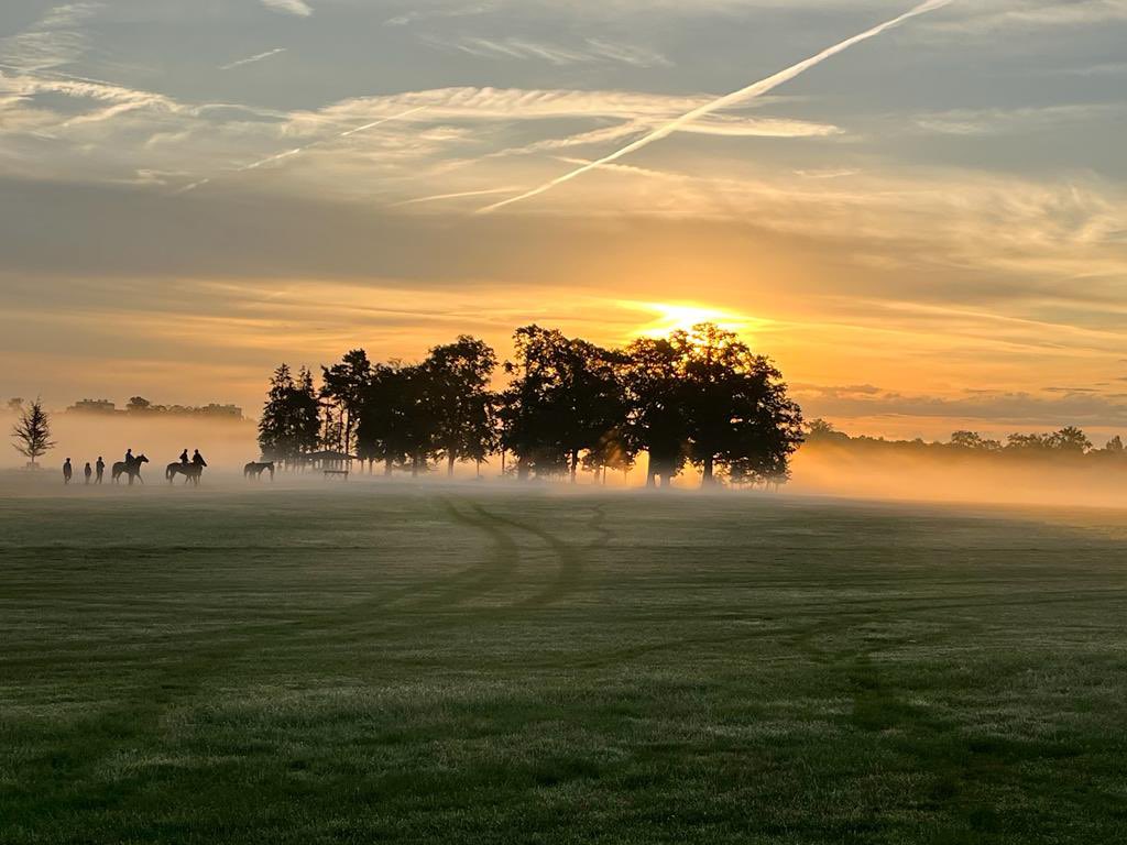 francegalop's tweet photo. Good morning @fgchantilly ❤️ https://t.co/8VY6z0UcYo