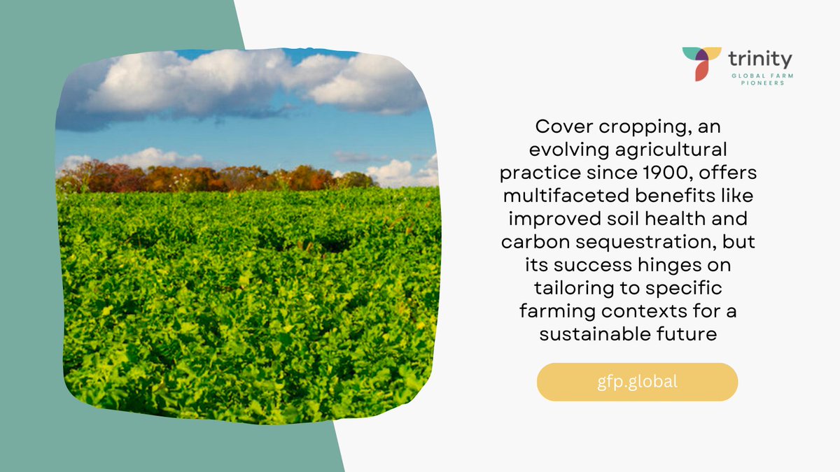 Trinity Global Farm Pioneers tweet media