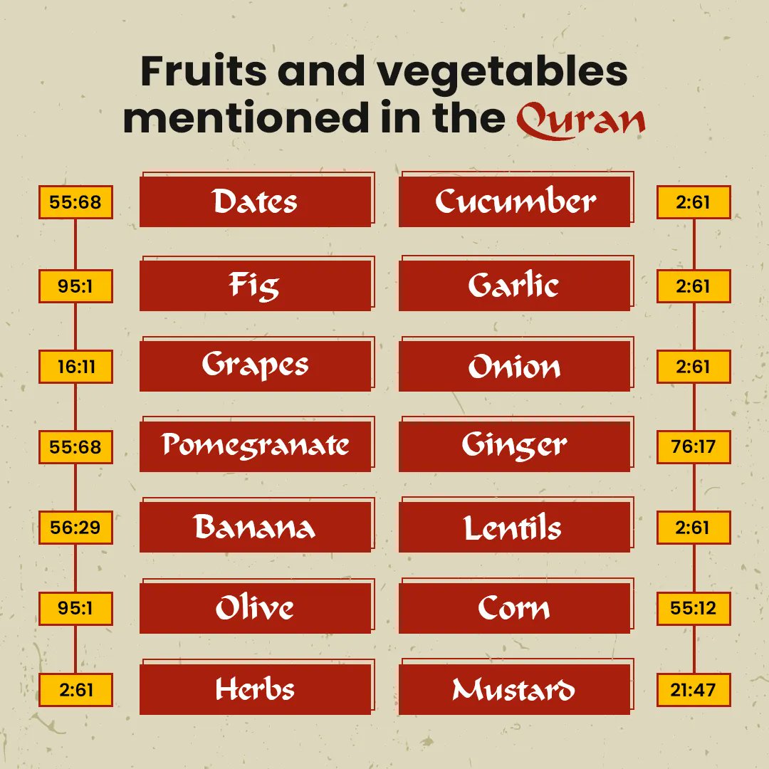 HMC_UK's tweet photo. Surah Al-An'am (6:99) shows divine wisdom in rain creating diverse vegetationβgrains, fruits, and vegetables, highlighting nature's importance.
.
image Source: sunnahinfographics
.
#hmc #hmcuk #halalfood #halaluk #hmccertified #muslim #quran #quranreminder https://t.co/0ednzer0xD