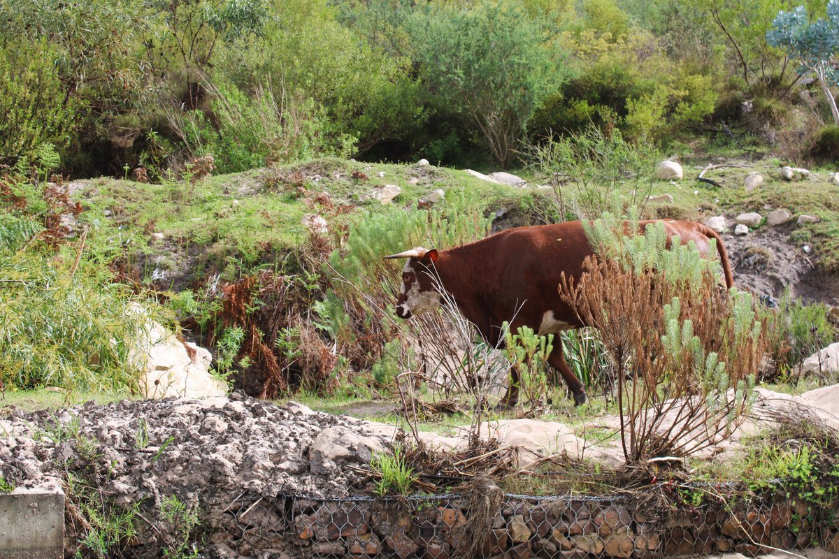 Environmental Monitoring Group tweet media