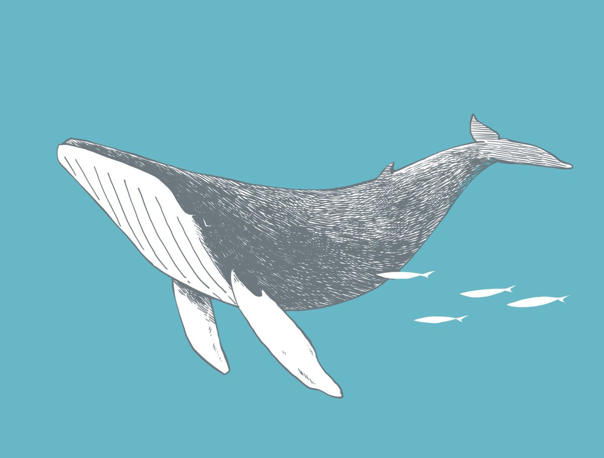 ピースフルクジラさんのイラスト原画◎ クジラ（シンプルでかわいい線画）イラスト - No: 25496154