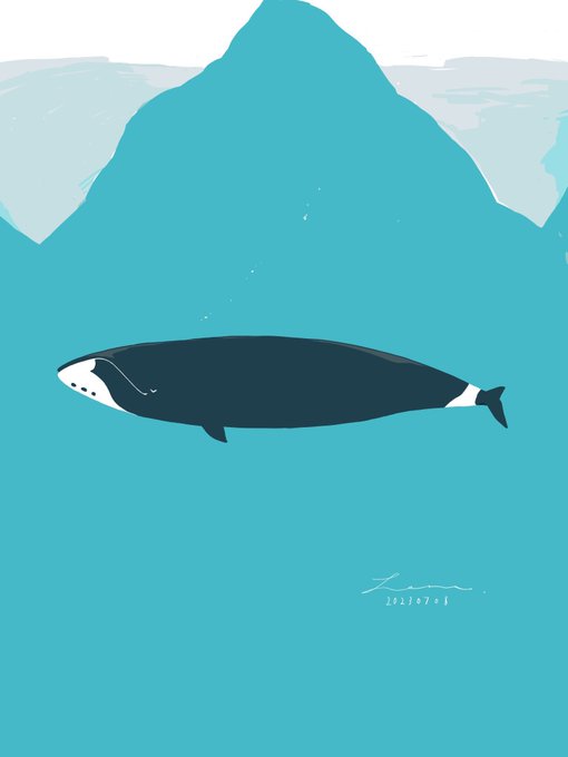 「shark whale」 illustration images(Latest)