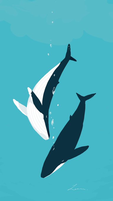 「shark whale」 illustration images(Latest)