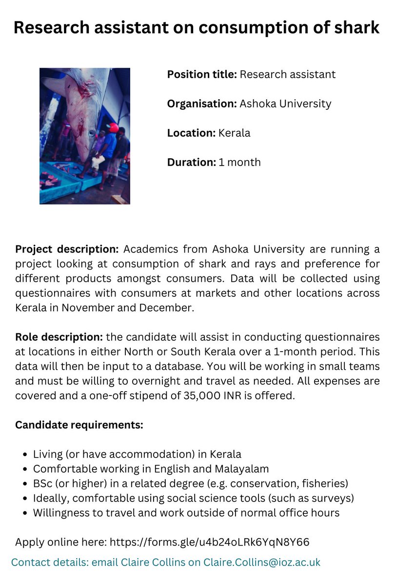 Looking for Indian RAs working/living in Kerala interested in #conservation and #socialscience to work on a #shark and #ray project in November w/ @InSeasonFish @Ana__Nuno apply here forms.gle/fqREUk7EcXWwSf…