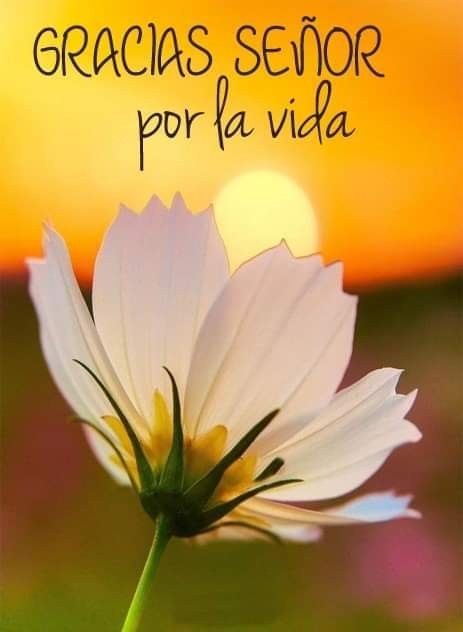 jordaninavarro's tweet photo. Gracias, Gracias, Gracias ♥️ https://t.co/VYt9IfQAU6