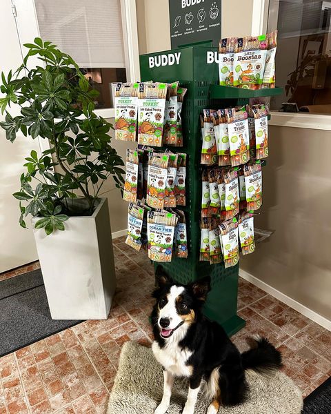 LittleBigPaw's tweet photo. Great to see Little BigPaw has made it to PetBuddy - Sweden 🐶😍looks like someone is standing guard ! https://t.co/7NBEHNum0p https://t.co/G5yYIZmMjW