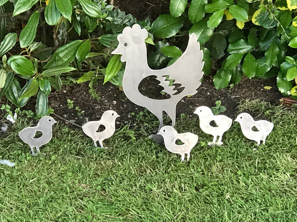 🐓 Metal Chicken Family 🐤🐥
Fabulous Garden Art Silhouettes. Brighten up your garden with the adorable Hen & baby Chicks.

#happychickens #petchickens #freerangechickens #backyardchickens #chickens #lovemychickens #raisingchickens #ilovechickens #urbanchickens #chickensaspets