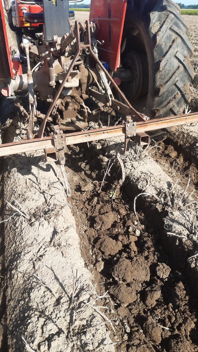 Vanmiddag een poging wagen om de eerste aardappelen te rooien. Eerst maar even de bagger uit de spuitsporen poetsen. #akker #hoesimpelkanhetwezen