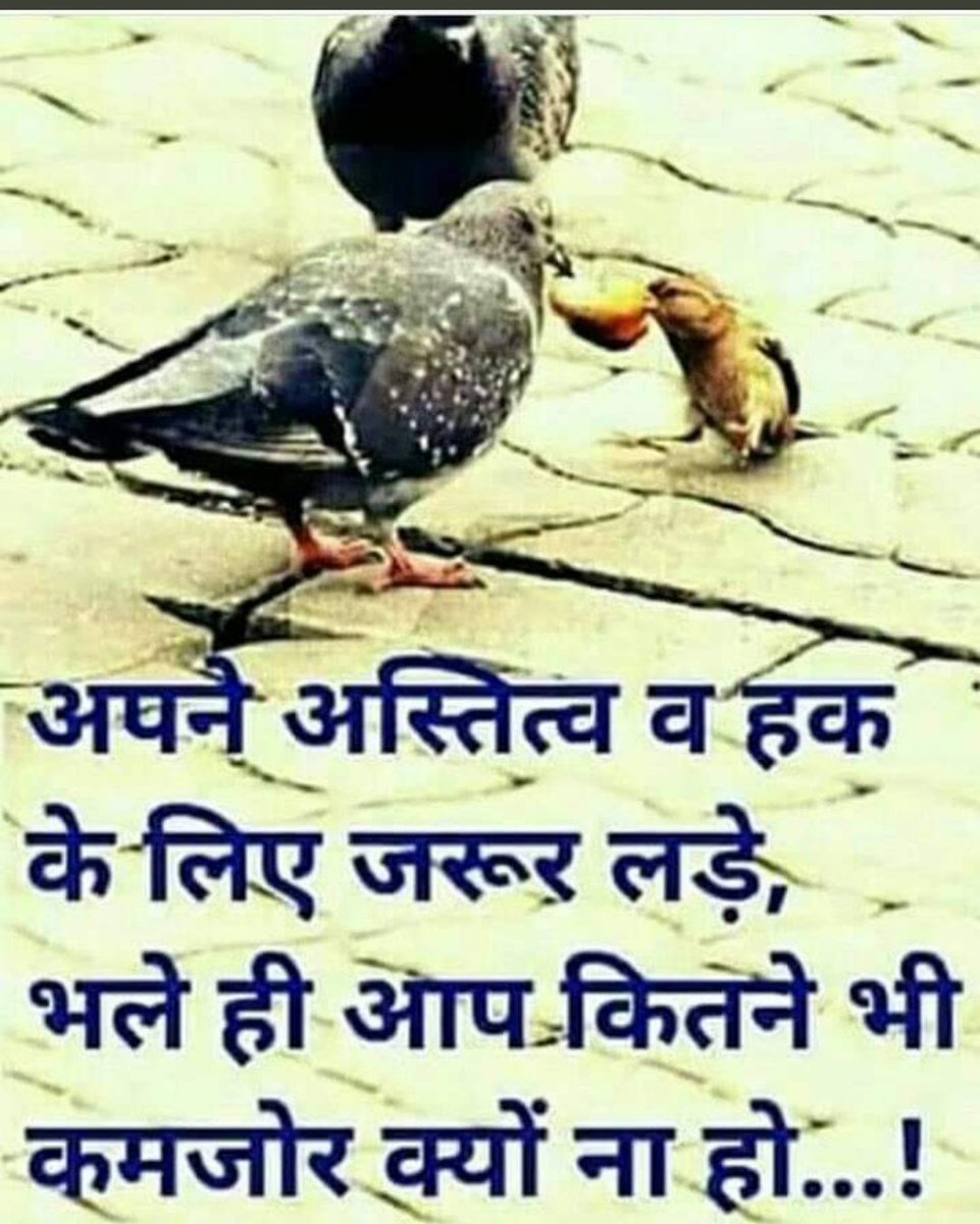 AjayMar15458873's tweet image. #ops
तमाम उम्र तेरा इंतिज़ार कर लेंगे
मगर ये रंज रहेगा कि ज़िंदगी कम है...✍️
#RestoreOldPension
#PrivatizationNoSolution