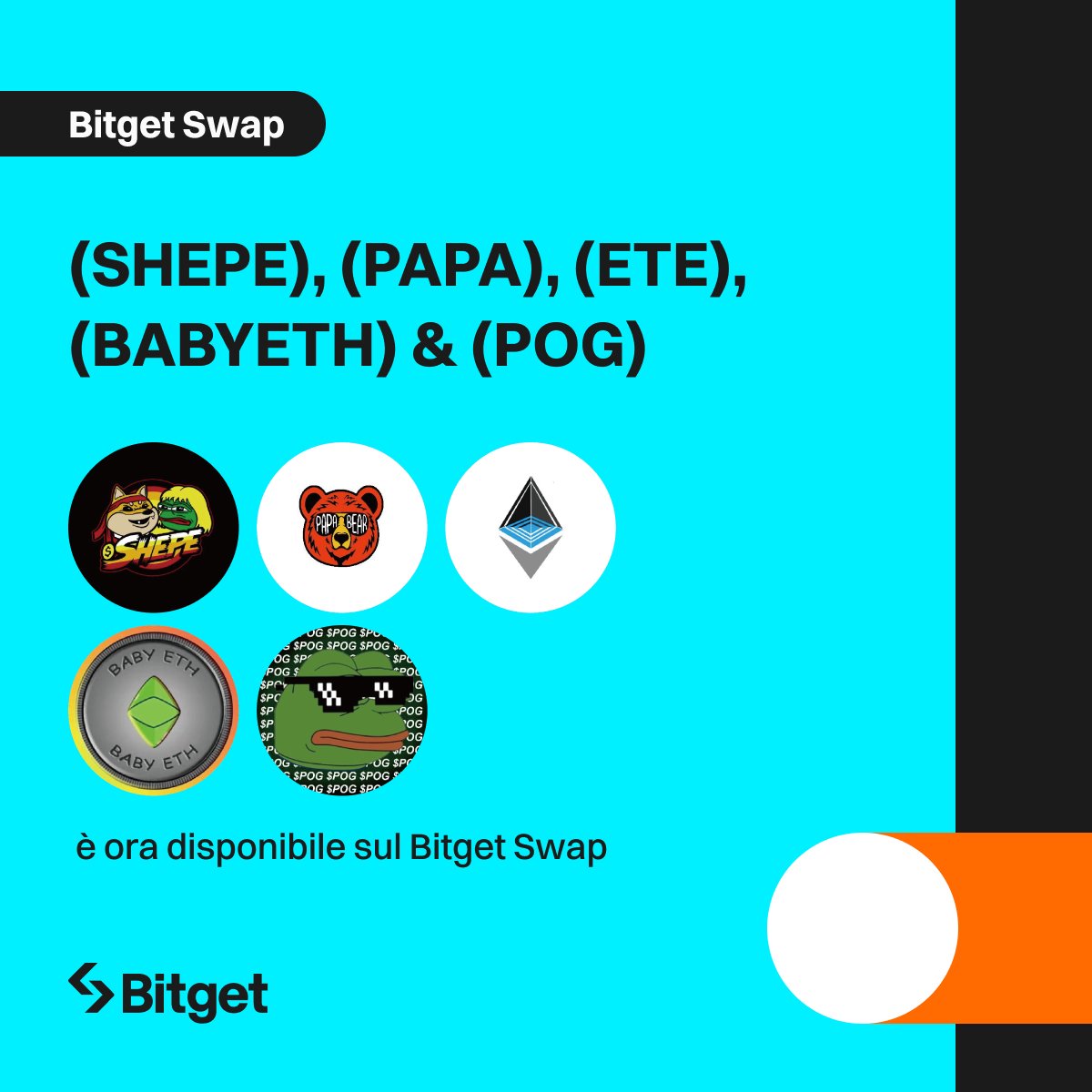 bg_in_italian's tweet photo. #SHEPE, #PAPA, #ETE, #BABYETH e #POG sono ora disponibili tramite #Bitget Swap.

#Swap ora su #Bitget - 
https://t.co/Sa5gCWcAvs
https://t.co/mnZTa7jgL1
https://t.co/vxCqyreW9V
https://t.co/DRiUHUzPfP
https://t.co/gBeqJ91NZh

🎁 #GIVEAWAY di 100$ per 10 utenti: ecco come funziona!

🔑 Segui @Bg_in_italian;  
🔑 Like + Retweet;  
🔑 Commenta con il tuo UID e tagga 3 amici.

Tutti i dettagli: https://t.co/IxN5UpGUJV

@shibavspepe
@PAPA_BSC
@EthereumExpres
@BABYETH_X
@PogCoinERC