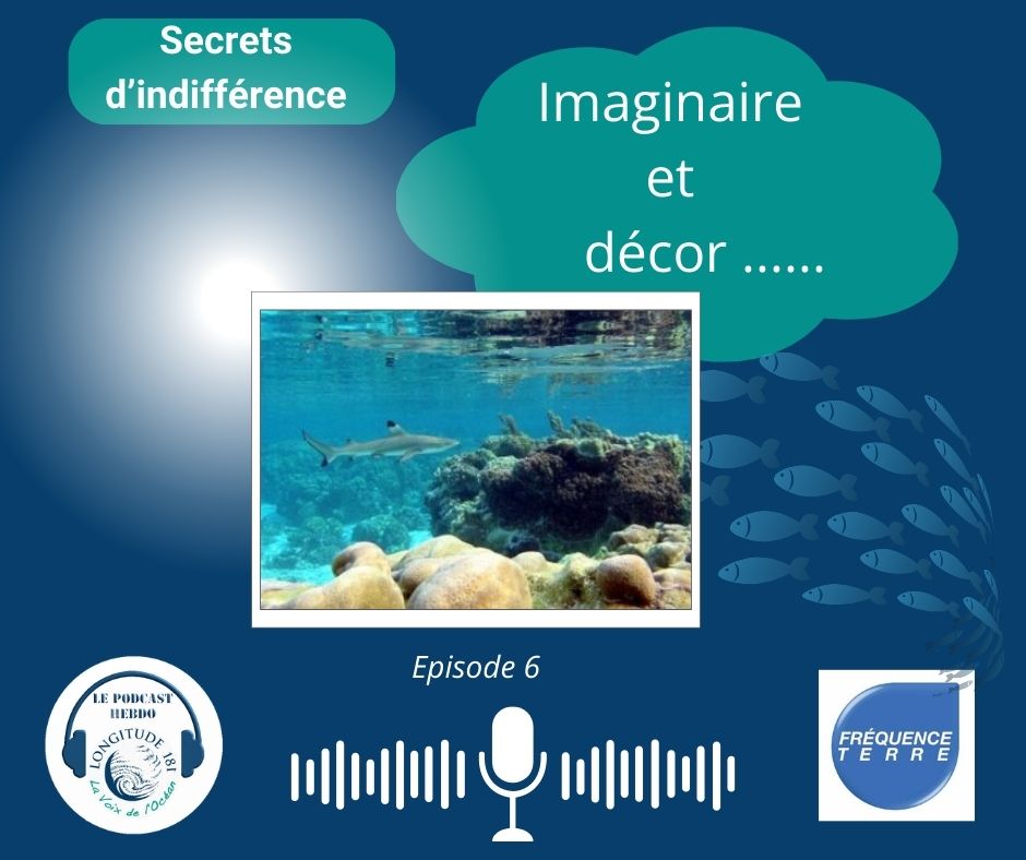 Longitude181 tweet media