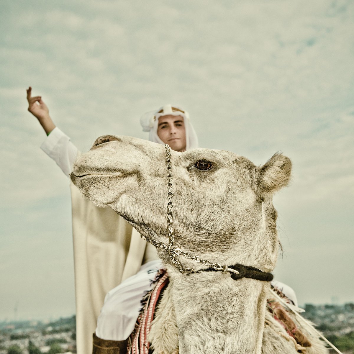 Secret Cinema tweet media