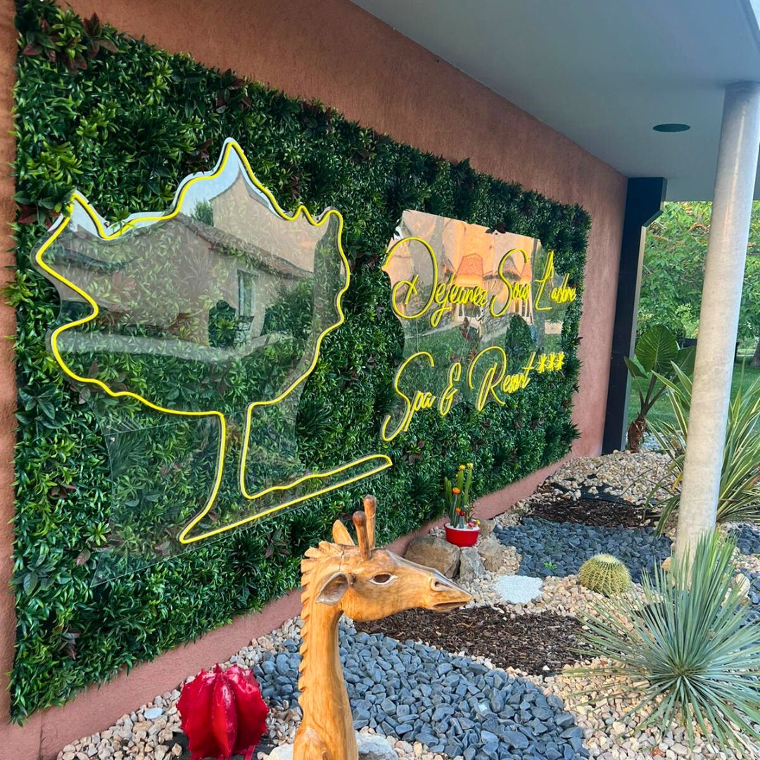 LMGreenFrance's tweet photo. Installation du #murvegetalartificiel Equateur 🌿💛

Dense et ultra occultant, ce somptueux feuillage synthétique sera parfait pour créer des ambiances exotiques en toutes saisons ✨

📍155 rue du dirigeable 13400 Aubagne
📞 04 85 92 00 90
📲Site : https://t.co/e4DGB0eTeD https://t.co/fUV8ncnmmt