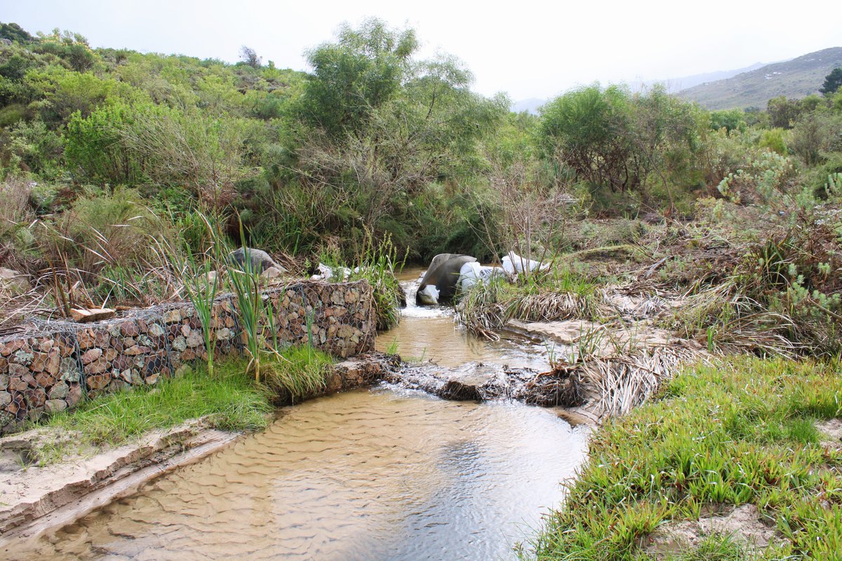 Environmental Monitoring Group tweet media