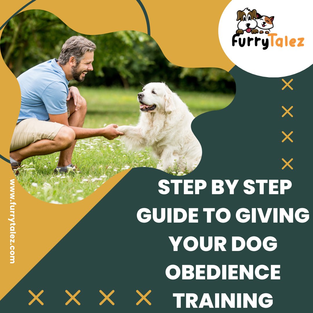 FurryTalez's tweet photo. 🐾 Mastering obedience #training for your #furryfriend is a #breeze with our step-by-step #guide! 

From sit to stay, we'll walk you through each command, helping you build a strong bond.

Click here for details: https://t.co/O1raGNGUey

👉𝐅𝐨𝐥𝐥𝐨𝐰 𝐮𝐬: @FurryTalez 🔥 https://t.co/iE94HuWwh2